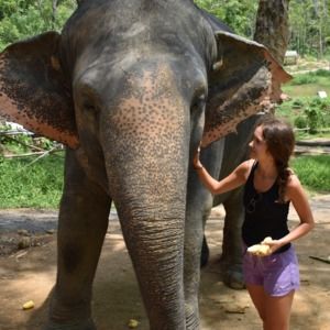 Meet your Posher, Callie